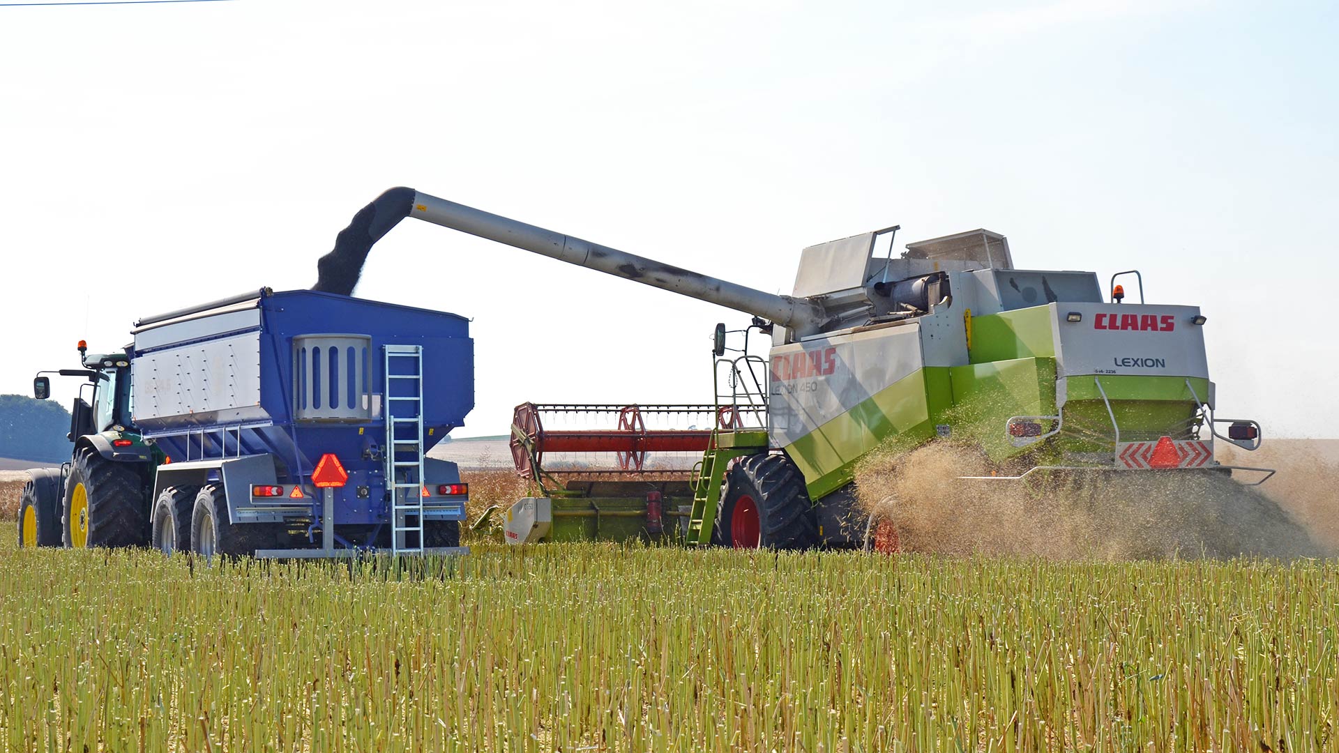 grain trailer gs-24 with claas combine harvesting raps